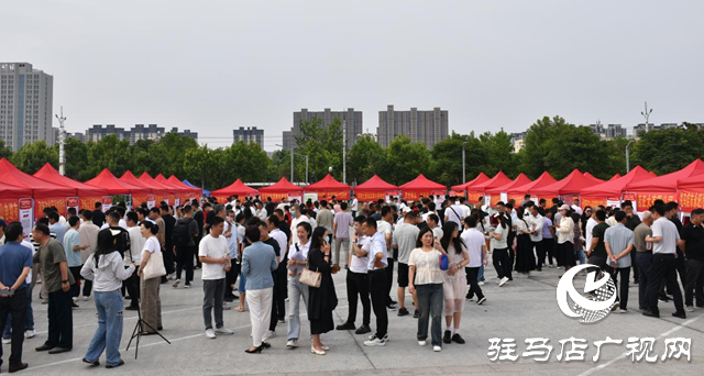 3000個(gè)崗位！駐馬店專場招聘會助力退役軍人就業(yè)