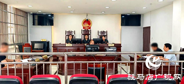 泌陽(yáng)縣人民法院:告官能見(jiàn)官 行政機(jī)關(guān)“一把手”出庭又出聲