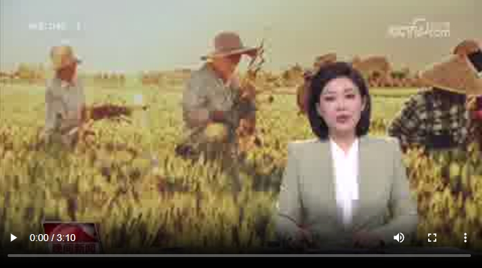 央媒看河南 | 關(guān)注河南應(yīng)對(duì)高溫、抗旱保苗等內(nèi)容