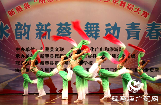 新蔡縣文化廣電和旅游局舉辦第十四期&ldquo;文化周末劇場&rdquo;