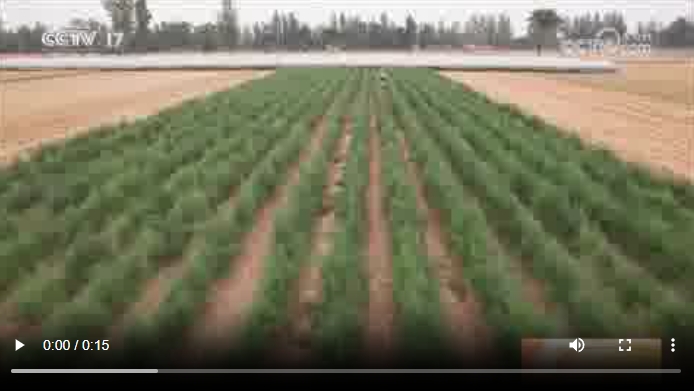 央媒看河南 | 關(guān)注河南應(yīng)對(duì)高溫、抗旱保苗等內(nèi)容