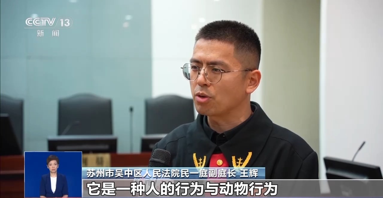 寵物“無接觸”致人受傷 寵物主人是否要擔(dān)責(zé)？一文了解→