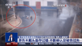 寵物“無接觸”致人受傷 寵物主人是否要擔(dān)責(zé)？一文了解→