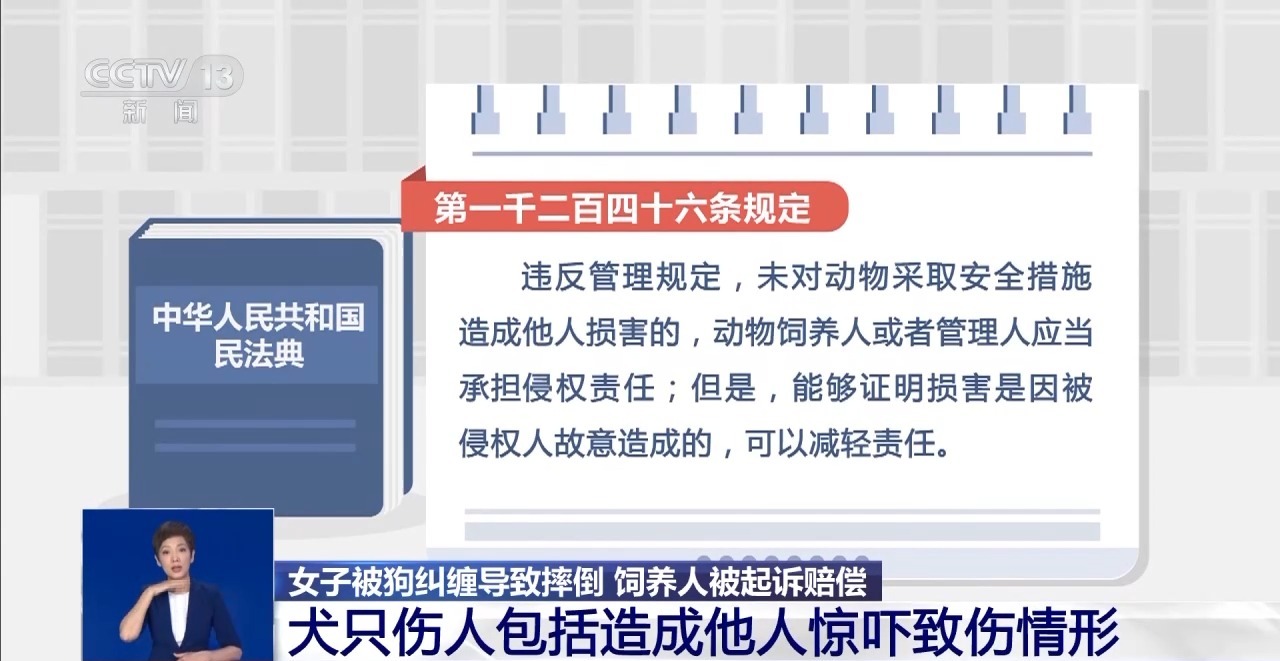 寵物“無接觸”致人受傷 寵物主人是否要擔(dān)責(zé)？一文了解→