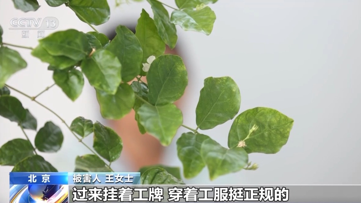 噓寒問暖獲信任 “保險(xiǎn)專員”盯上老年人騙保單、賺傭金