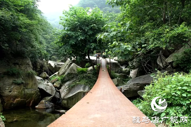 泌陽(yáng)縣峻險(xiǎn)秀美&ldquo;九龍瀑&rdquo; 大自然的鬼斧神工