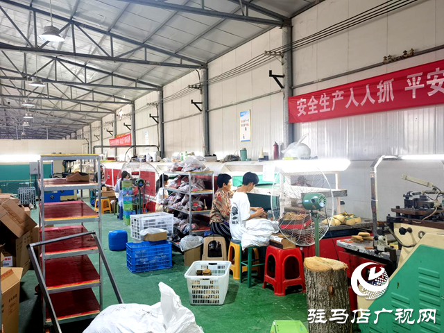 平輿縣十字路鄉(xiāng)：凝聚巾幗力量，助力“三園建設(shè)”