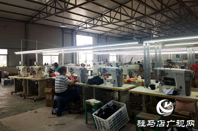 平輿縣十字路鄉(xiāng)：凝聚巾幗力量，助力“三園建設(shè)”