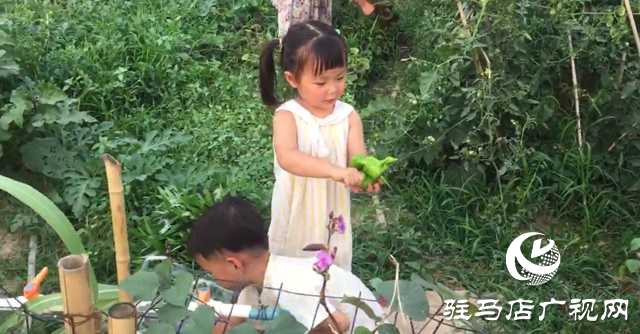 驛城區(qū)九合山莊共享農(nóng)場：遠離城市喧囂 樂享田園生活