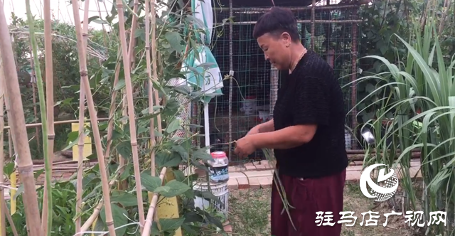 驛城區(qū)九合山莊共享農(nóng)場：遠離城市喧囂 樂享田園生活