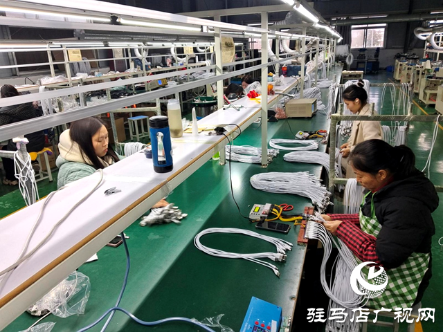 確山縣雙河鎮(zhèn)：做強“歸燕經濟”同譜振興之路