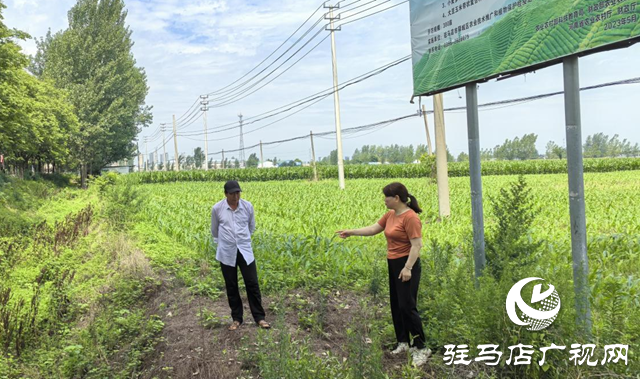 暴雨過(guò)后如何防范農(nóng)田內(nèi)澇？農(nóng)業(yè)專家支招