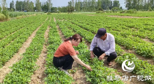 暴雨過(guò)后如何防范農(nóng)田內(nèi)澇？農(nóng)業(yè)專家支招