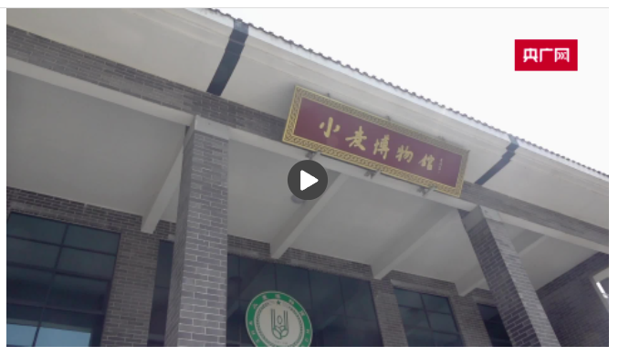 【新時代中部崛起看河南】走進(jìn)溫縣小麥博物館 探秘“溫麥”良種的“前世今生”