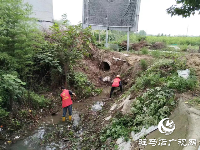 駐馬店經濟開發(fā)區(qū)賈莊居委會志愿者冒雨清理河道