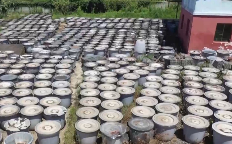 高價回收是誘餌！警惕以“訂單農業(yè)”為名的騙局