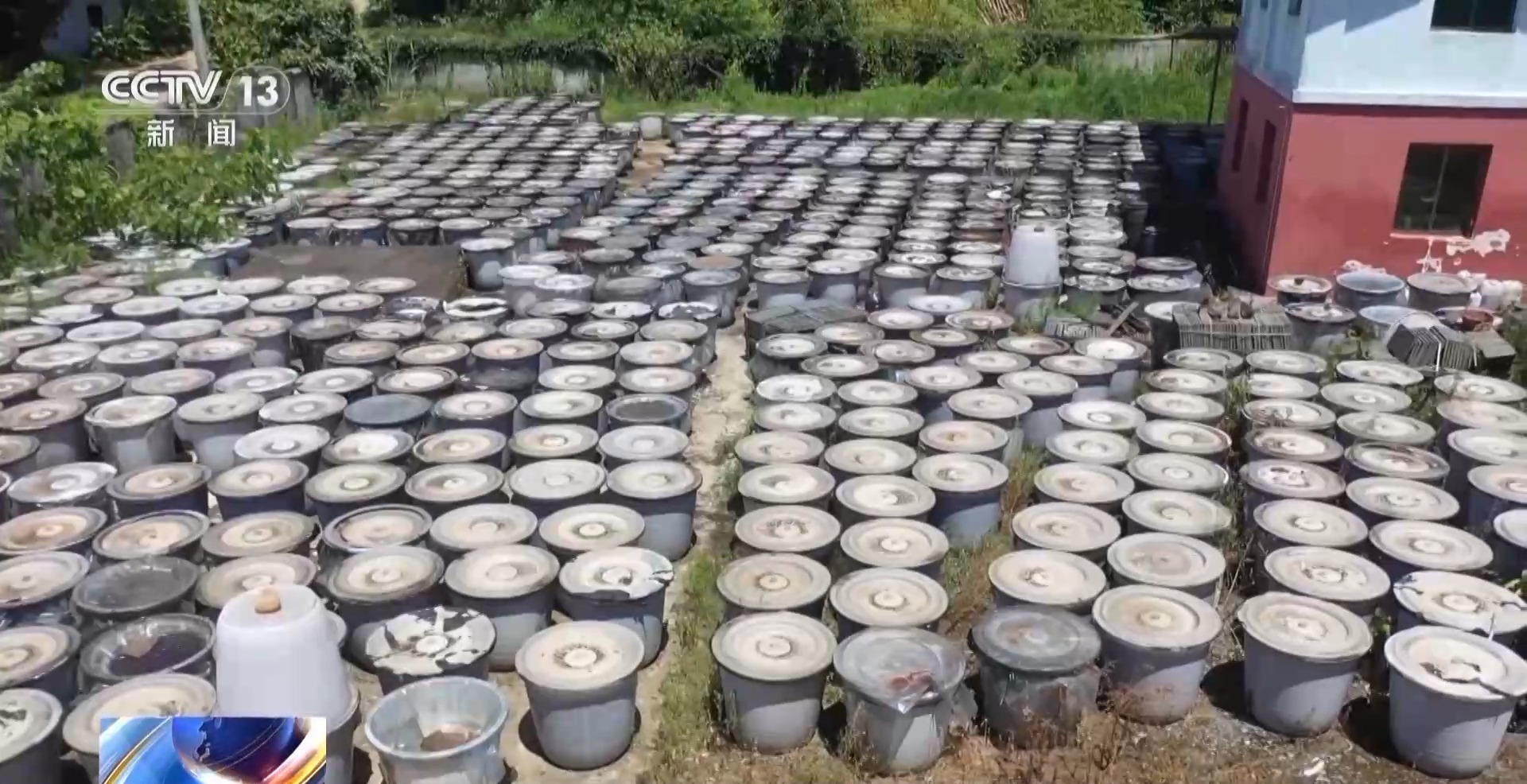 高價(jià)回收是誘餌！警惕以“訂單農(nóng)業(yè)”為名的騙局