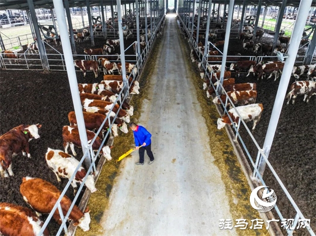 正陽(yáng)縣新阮店鄉(xiāng)：全面發(fā)力“五星”支部創(chuàng)建  黨建引領(lǐng)譜寫鄉(xiāng)村振興新篇章