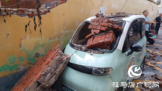 狂風(fēng)刮倒大桐樹 砸壞圍墻電動(dòng)車