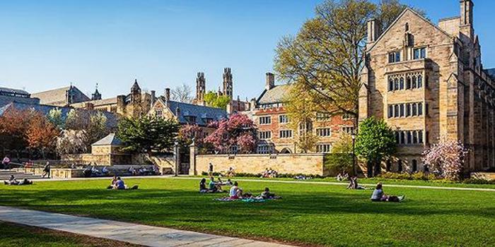 “花錢”找關(guān)系能上名校？29位家長被騙上千萬