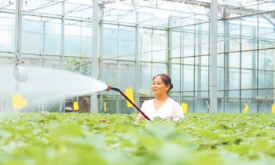 以高標(biāo)準(zhǔn)引領(lǐng)中醫(yī)藥“走出去”（大健康觀察）