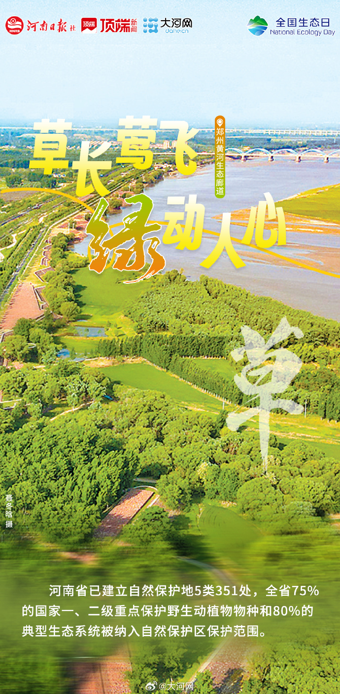 青綠成了河南的主打色 | 何以中國 行走河南