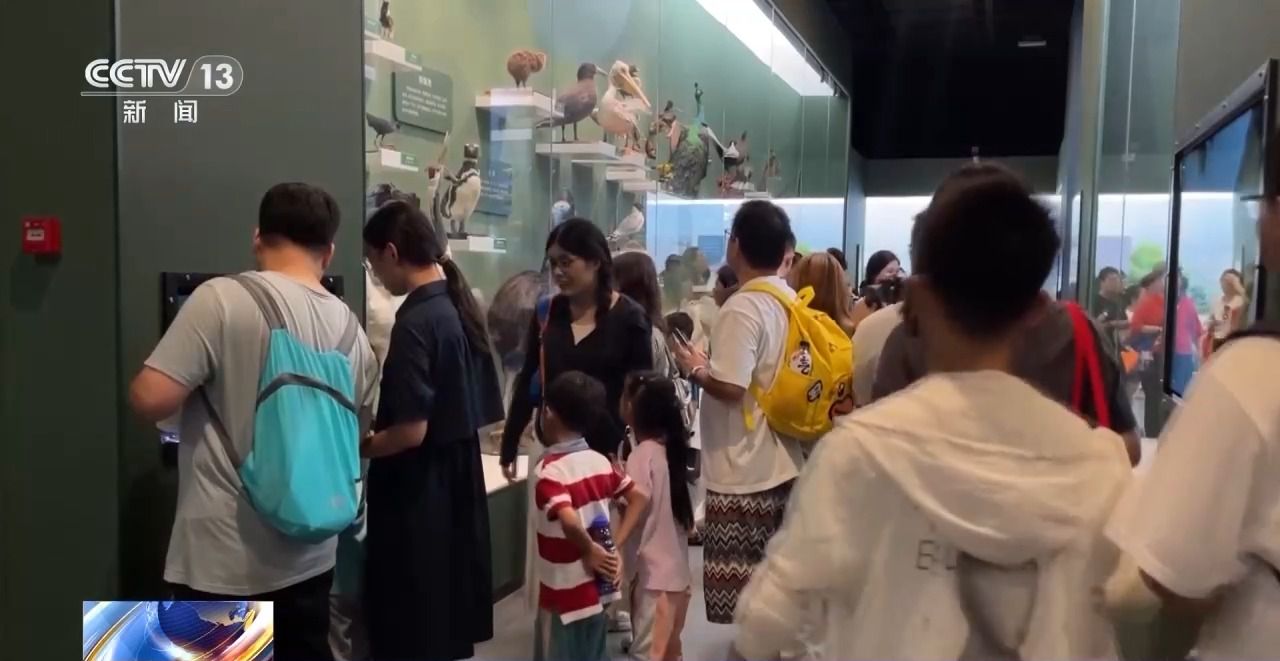 在免費(fèi)景區(qū)做起收費(fèi)生意 倒票“黃?！睉?yīng)該如何整治