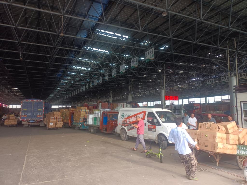 為何上漲？何時(shí)回穩(wěn)？——透視當(dāng)前蔬菜價(jià)格走勢