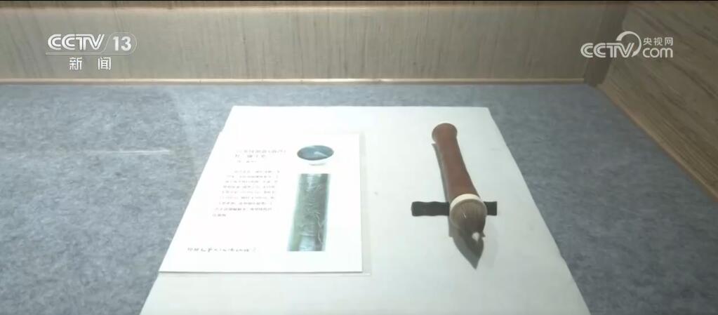 走進(jìn)博物館、走入鄉(xiāng)村田野……暑期研學(xué)游熱度不減 各地文旅活動精彩不斷