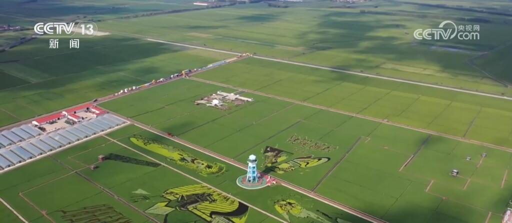 走進(jìn)博物館、走入鄉(xiāng)村田野……暑期研學(xué)游熱度不減 各地文旅活動精彩不斷