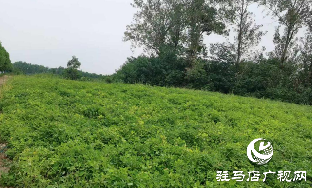 本周多陣雨天氣 氣象專(zhuān)家提醒要趁機(jī)加強(qiáng)田間管理