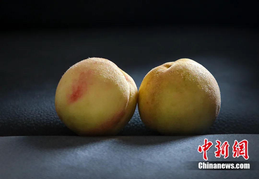 每顆40元，直送迪拜！悟空和土豪最愛，產自這里！