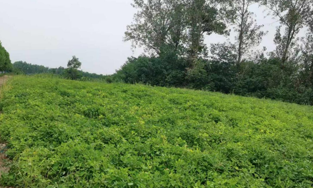本周多陣雨天氣 氣象專家提醒要趁機(jī)加強(qiáng)田間管理