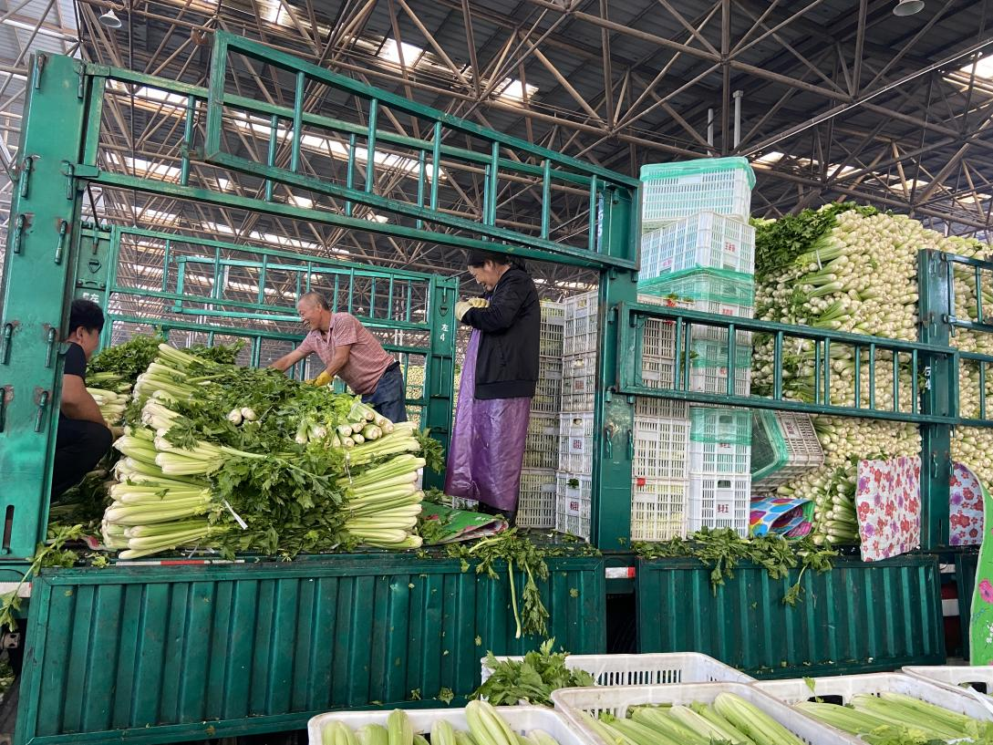 菜價波動后逐漸回落，如何拎穩(wěn)“菜籃子”？
