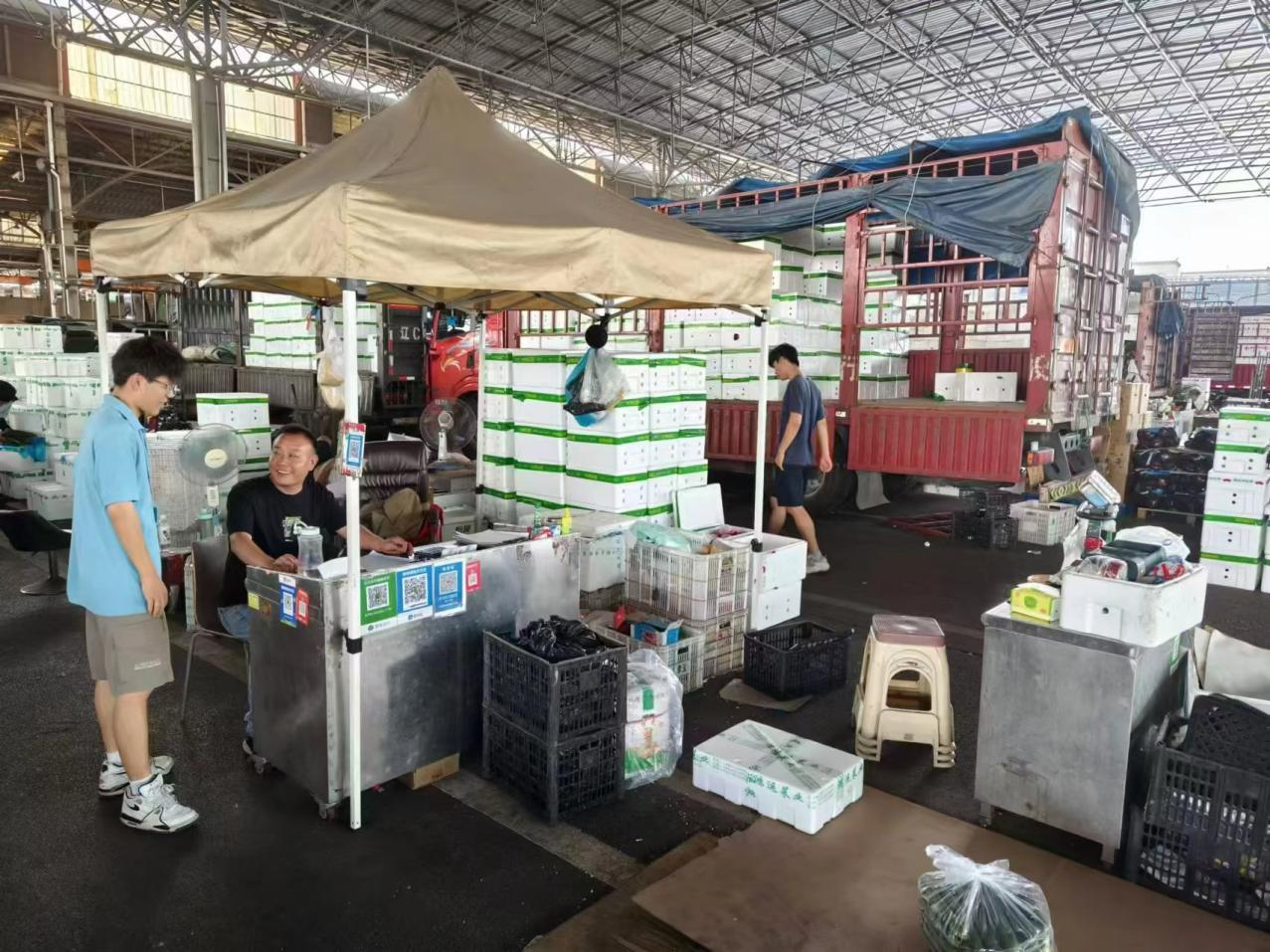 菜價波動后逐漸回落，如何拎穩(wěn)“菜籃子”？