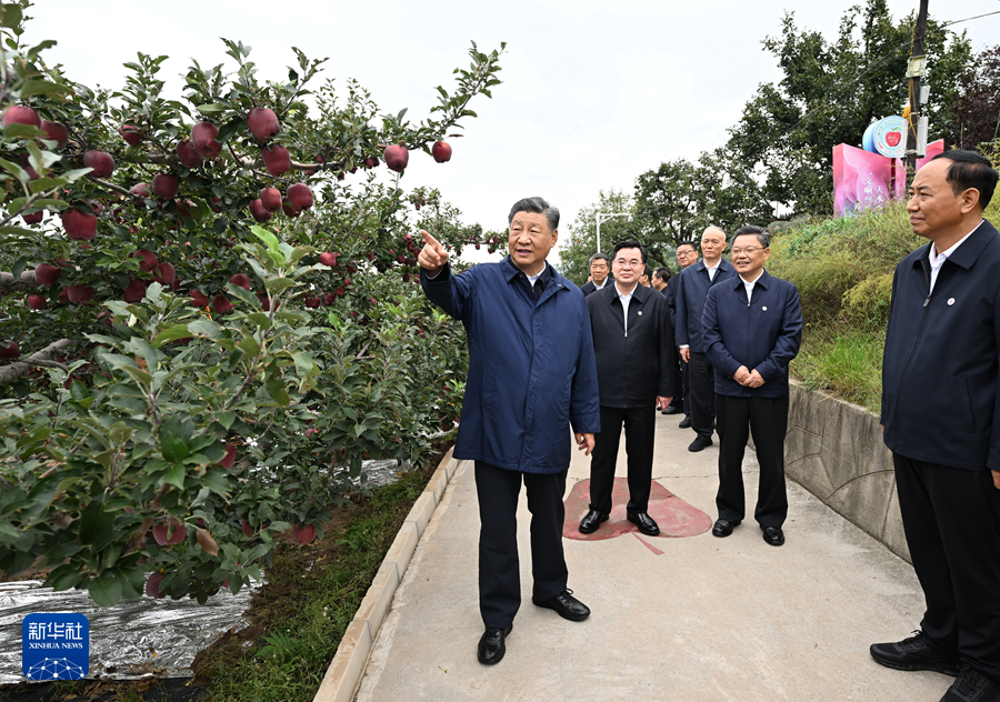 習(xí)近平在甘肅考察時強調(diào) 深化改革勇于創(chuàng)新苦干實干富民興隴 奮力譜寫中國式現(xiàn)代化甘肅篇章