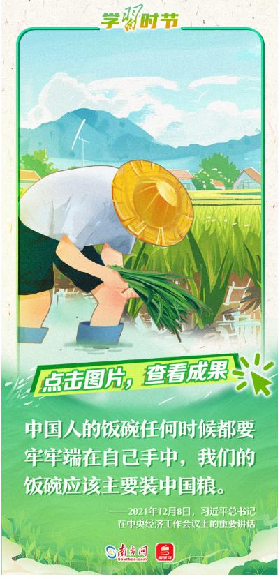 學(xué)習(xí)時(shí)節(jié)｜禮贊豐收，書(shū)寫(xiě)“三農(nóng)”壯麗篇章