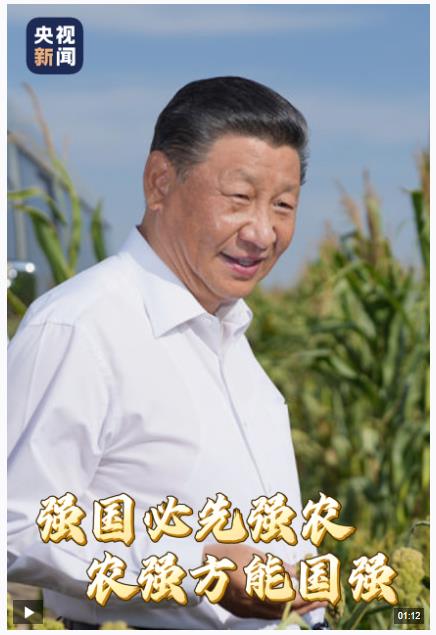 時(shí)政微視頻丨強(qiáng)國(guó)必先強(qiáng)農(nóng)