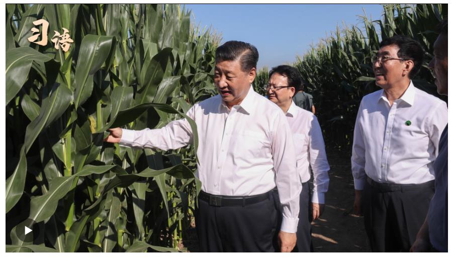 習(xí)語｜“農(nóng)，天下之大業(yè)也”