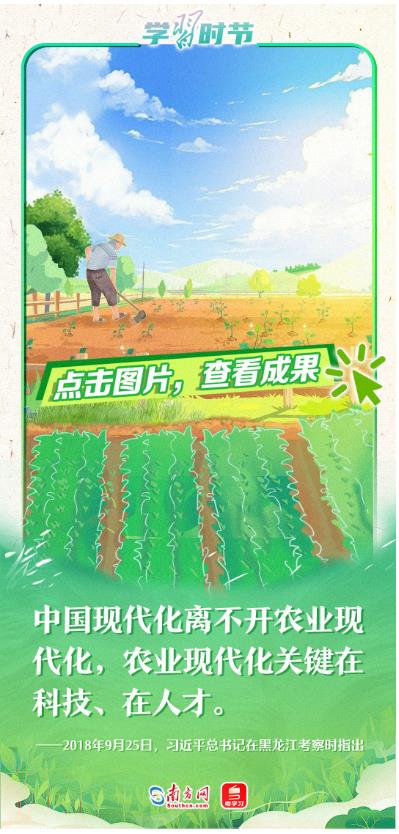 學(xué)習(xí)時(shí)節(jié)｜禮贊豐收，書(shū)寫(xiě)“三農(nóng)”壯麗篇章