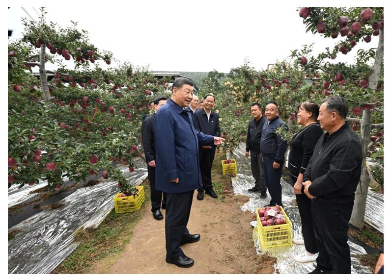 學(xué)習(xí)進(jìn)行時(shí)丨“讓農(nóng)民腰包越來越鼓、生活越來越美好”——習(xí)近平總書記走進(jìn)田間地頭話“三農(nóng)”