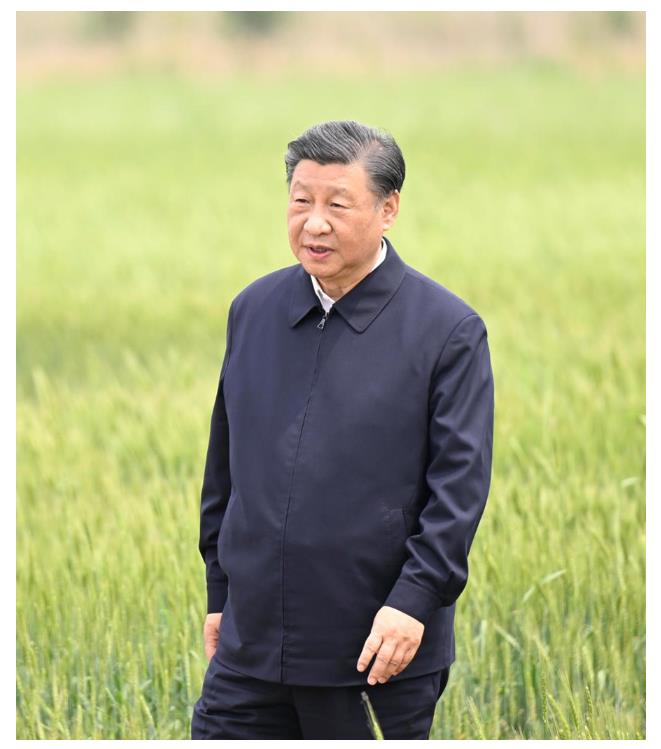 學(xué)習(xí)進(jìn)行時(shí)丨“讓農(nóng)民腰包越來越鼓、生活越來越美好”——習(xí)近平總書記走進(jìn)田間地頭話“三農(nóng)”