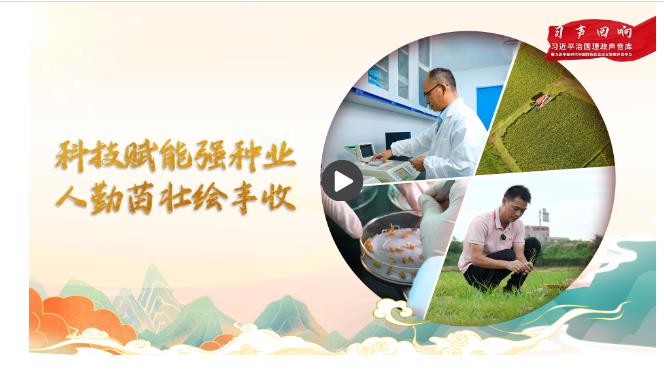 【習聲回響】科技賦能強種業(yè) 人勤苗壯繪豐收