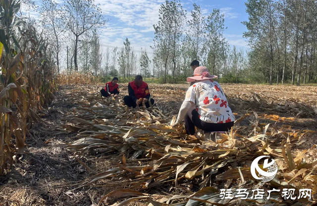 新蔡縣佛閣寺鎮(zhèn)：金秋助農收獲解民憂