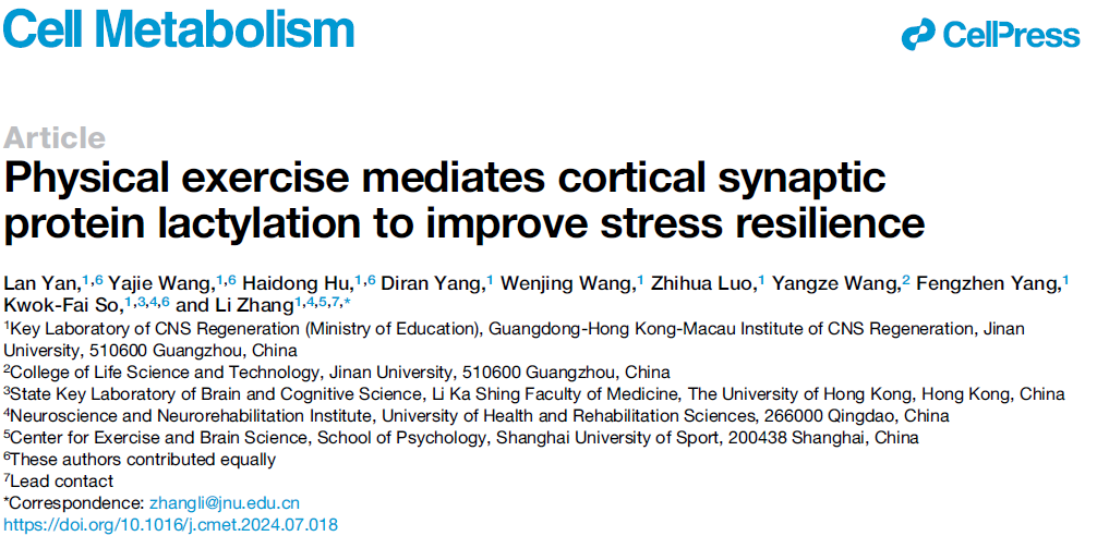 抗焦慮最佳方法來了！不是吃喝，也不是睡覺，而是做好這件事