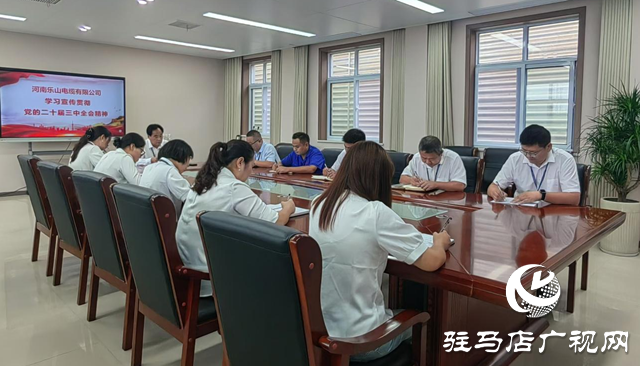 河南樂山電纜：以全會(huì)精神為指引 實(shí)現(xiàn)企業(yè)高質(zhì)量發(fā)展