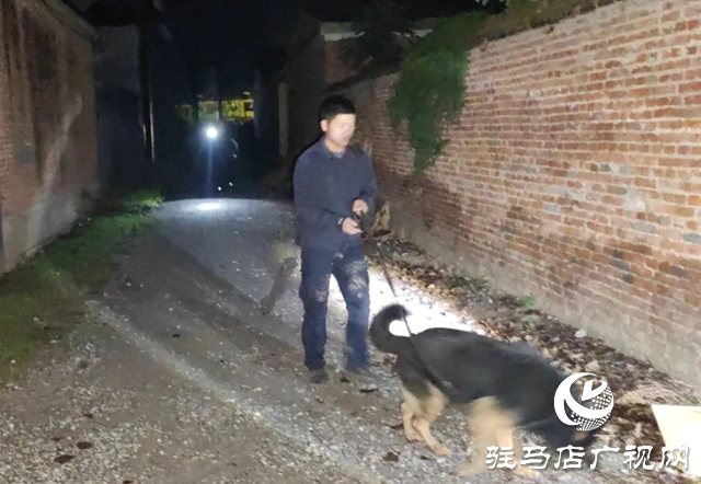4歲女童獨自騎車走失 上蔡百名民警深夜搜救找回