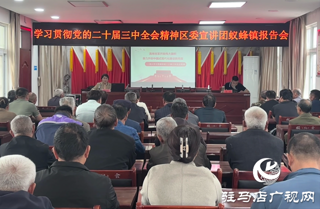 驛城區(qū)蟻蜂鎮(zhèn)召開學習貫徹黨的二十屆三中全會精神宣講會