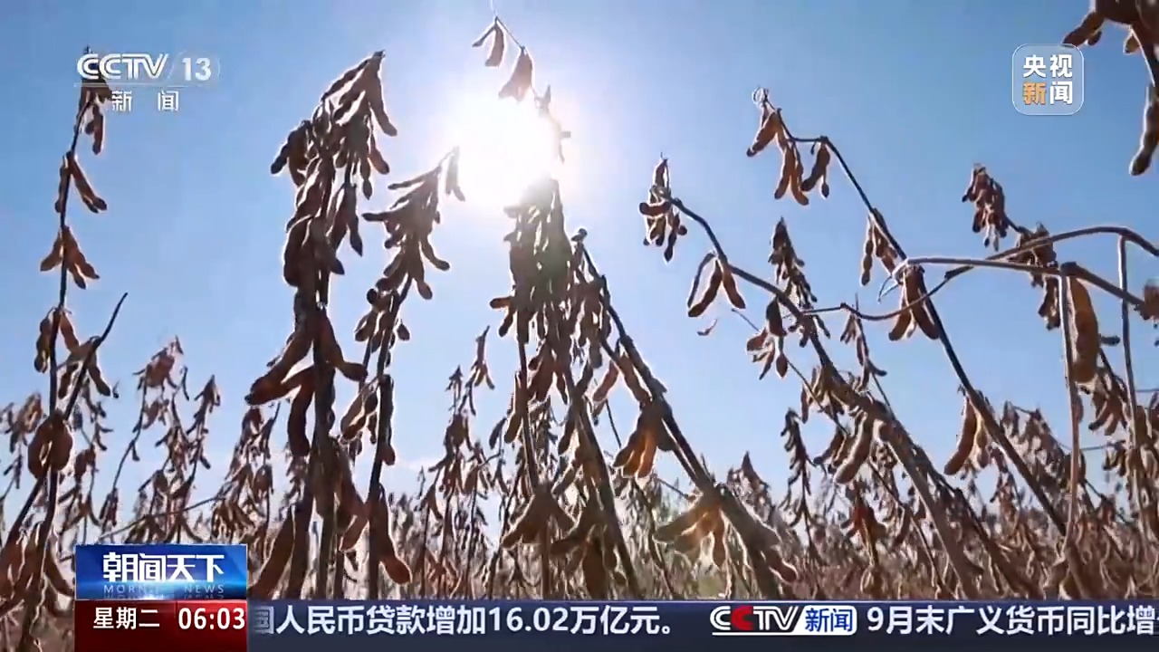 全國(guó)秋收過六成 秋種陸續(xù)展開