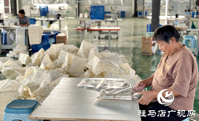 平輿縣:黨建“雙提升”引來富民產(chǎn)業(yè)興